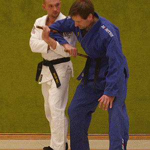 DrehstreckhebelMitDemStock12.gif