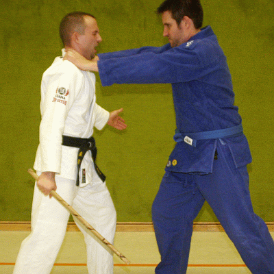 SchraenkwuergeMitDemStock01.gif