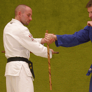ArmriegelVonInnenMitDemStock02.gif