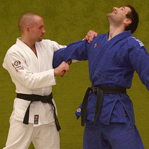ArmriegelVonInnenMitDemStock07.gif