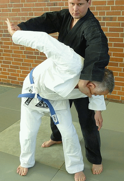 NasendruckWFGuillotine03.gif