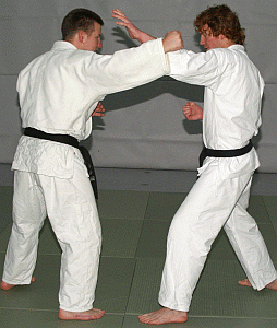 HueftwurfSchwinger01.gif