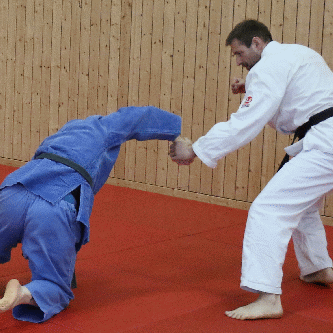 Beide Handgelenke von hinten gefasst-Handdrehgriff-Hueftrad10.gif