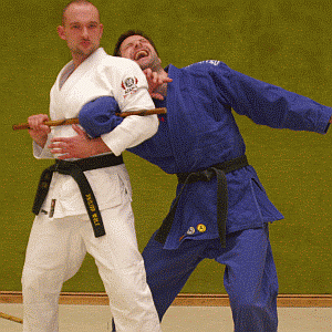 ArmriegelVonInnenMitDemStock11.gif