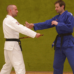 ArmriegelVonInnenMitDemStock04.gif