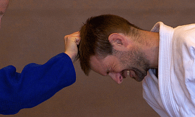 Haarefassen01.gif