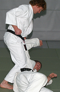 HueftwurfSchwinger04.gif