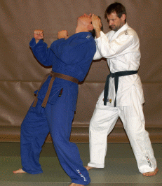 UnterarmblockNachObenFauststoss03.gif