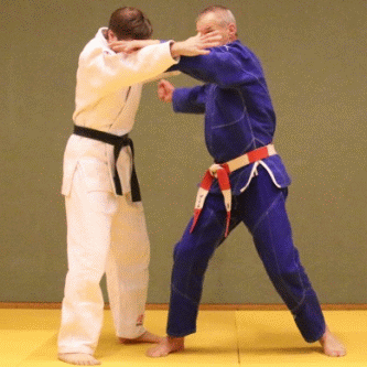 WuergenVonDerSeite-Hueftrad02.gif