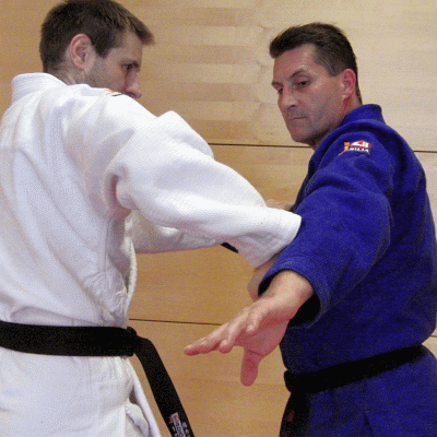 WFSchwingerSchwinger03.gif