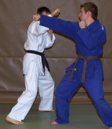 UnterarmblockNachObenFauststoss01.gif