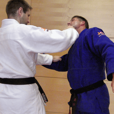 WFSchwingerSchwinger04.gif