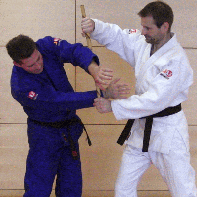 GriffloesenMitDemStock03.gif