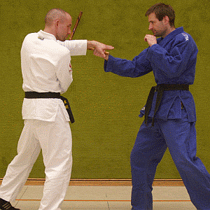 ArmriegelVonInnenMitDemStock01.gif