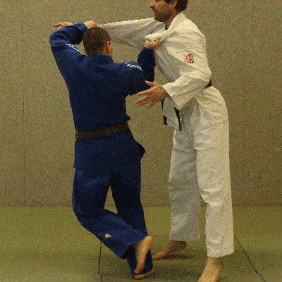 Doppelschwinger-Dropdownschulterzug-Seitstreckhebel03.gif