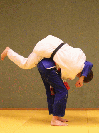 Hueftrad03.gif