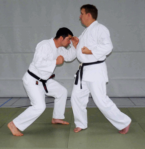 Kopfstoss03.gif