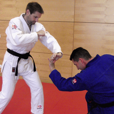 WFFaustrueckenschlagFingerhebel04.gif