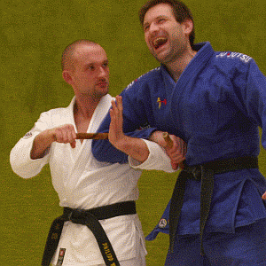 DrehstreckhebelMitDemStock13.gif