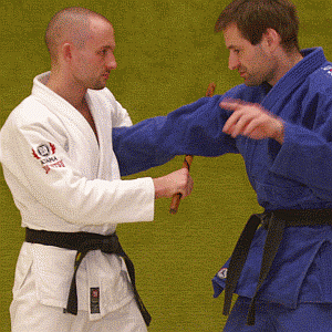 ArmriegelVonInnenMitDemStock06.gif