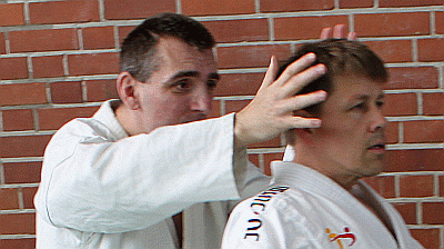 Rueckriss01.gif