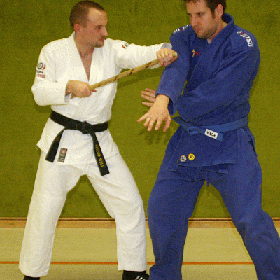 SchraenkwuergeMitDemStock04.gif