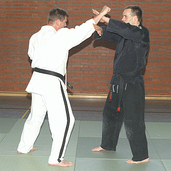 Schulterzug01.gif