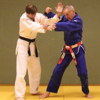 WuergenVonDerSeite-Hueftrad03.gif