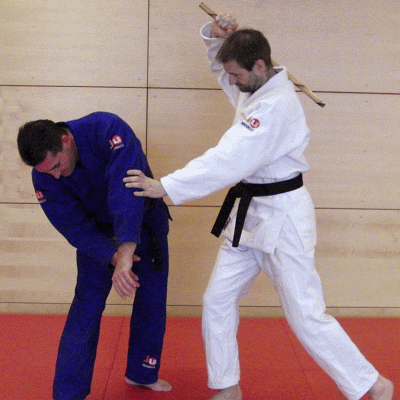 GriffloesenMitDemStock04.gif