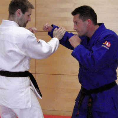 WFFaustrueckenschlagFingerhebel01.gif
