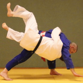 Handgelenkfassen-Kopfklammerwurf06.gif