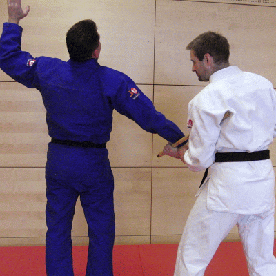 HandsperrhebelMitDemStock05.gif
