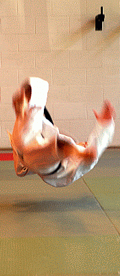 FreierFall05b.gif
