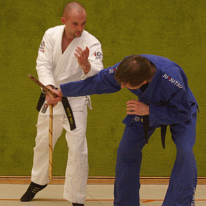 DrehstreckhebelMitDemStock06.gif