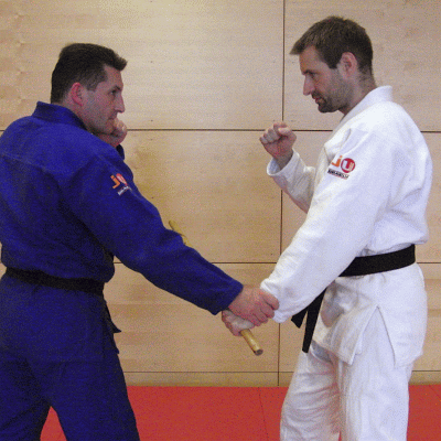 HandsperrhebelMitDemStock01.gif