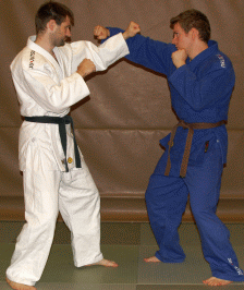 UnterarmblockNachObenGT07.gif