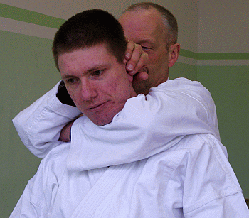 Schraenkwuergen02.gif