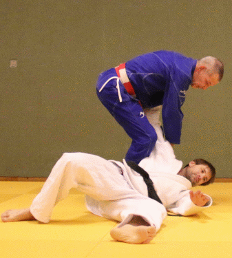 SchulterGuertelHueftwurf04.gif