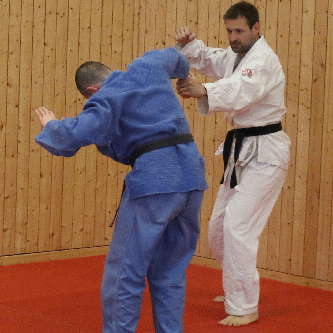Beide Handgelenke von hinten gefasst-Handdrehgriff-Hueftrad11.gif