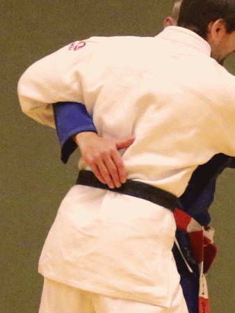 GrosserHueftwurf02.gif