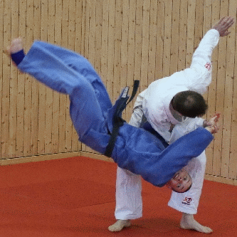 Beide Handgelenke von hinten gefasst-Handdrehgriff-Hueftrad05.gif