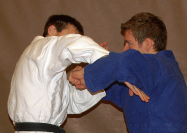 UnterarmblockNachObenGT03.gif
