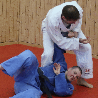 Beide Handgelenke von hinten gefasst-Handdrehgriff-Hueftrad06.gif
