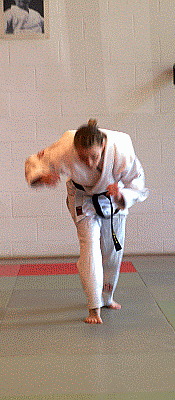 FreierFall02b.gif
