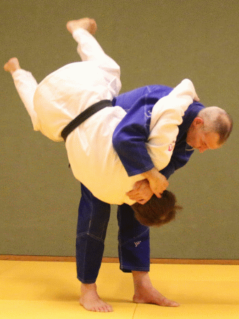 AuesseresHueftrad03.gif