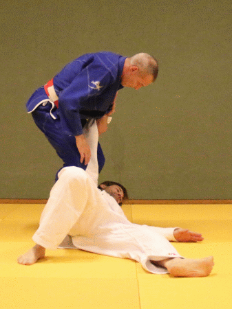 Hueftrad04.gif