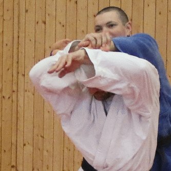 Beide Handgelenke von hinten gefasst-Handdrehgriff-Hueftrad03.gif