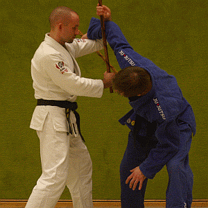 DrehstreckhebelMitDemStock10.gif