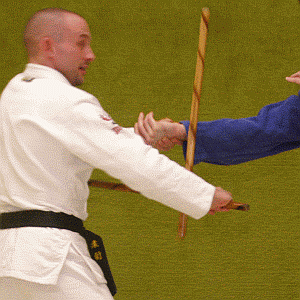 ArmriegelVonInnenMitDemStock03.gif