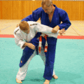 AeussererHueftwurfWFGrosseAussensichel01.gif
